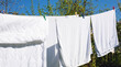 white clean linen is dried in the sun on a rope