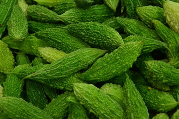 Close up of fresh green Bitter Gourds (Bitter Melon) on display at local farmers market. Background, texture of green bitter melons.