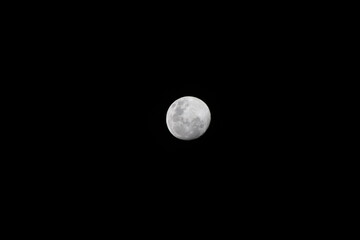 Wall Mural - full moon in the night sky
