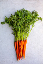 Bunch Of Carrots 