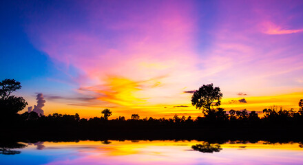 Wall Mural - Panorama silhouette tree in africa with sunset.Amazing sunset and sunrise.