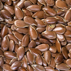 Canvas Print - brown flax seeds close up