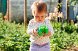 Portrait of cute caucasian toddler holding a plastic toy bucket with strawberrie. In the background is a vegetable beds and flower garden. Seasonal harvest concept