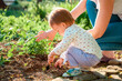 Summer season. Little baby weeds the herbs beds with a child's shovel. Mother nearby helps to her child to take care of the garden. The concept of family gardening