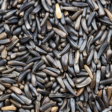 Whole-grain Niger Seeds Close Up