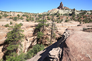 Wall Mural - Red Rock Park near Gallup in New Mexico, USA