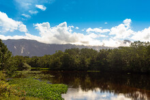Landscape Of Lake With Trees And Water Hyacinths, In The Background Mountains Of Mantiqueira Mountains