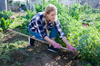 Young woman weeds with a hoe the garden bed. High quality photo