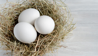 Wall Mural - Closeup raw white brown organic fresh eggs shell with yolk from happy chicken hen free range farm on nature hatch grass straw nest healthy protein food symbol of spring season birth easter festival