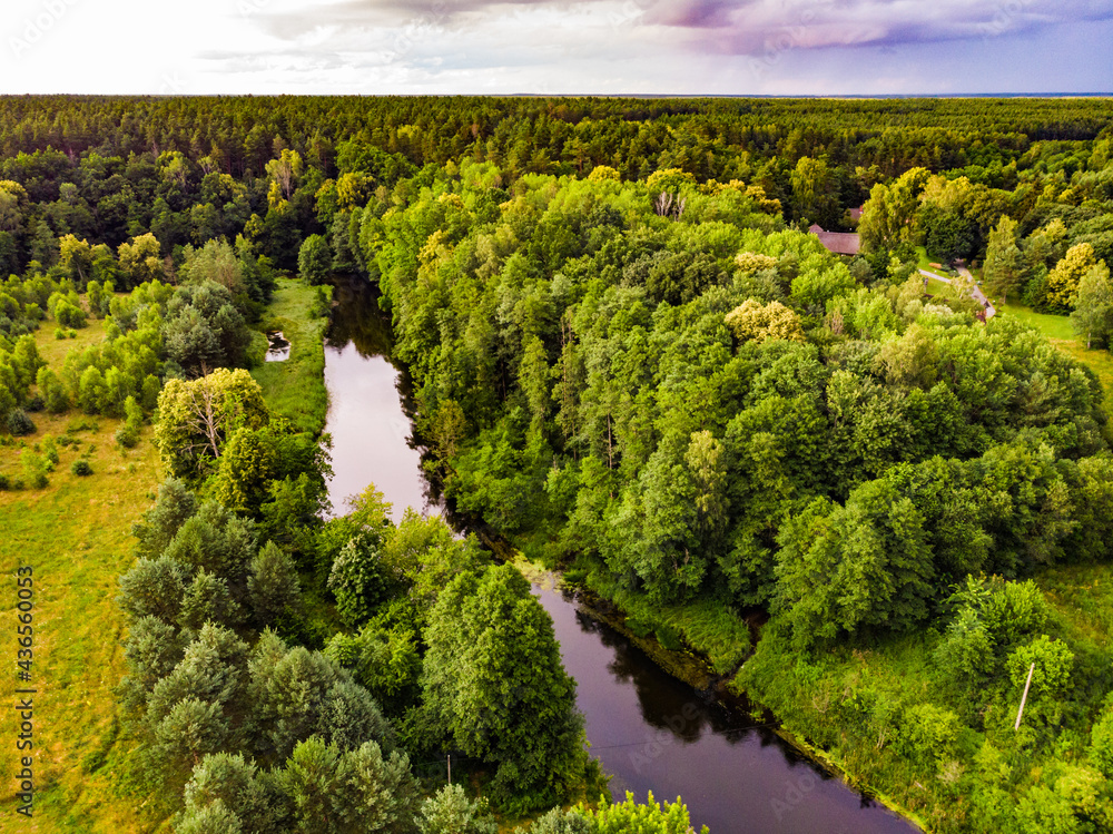 Brda river and Tuchola forest in Poland. Aerial view - obrazy, fototapety, plakaty 