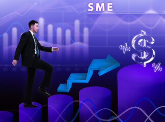 Business, technology, internet and network concept. Young businessman thinks over the steps for successful growth: SME