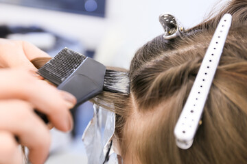 Female hairdresser dyeing hair of client in beauty salon, closeup