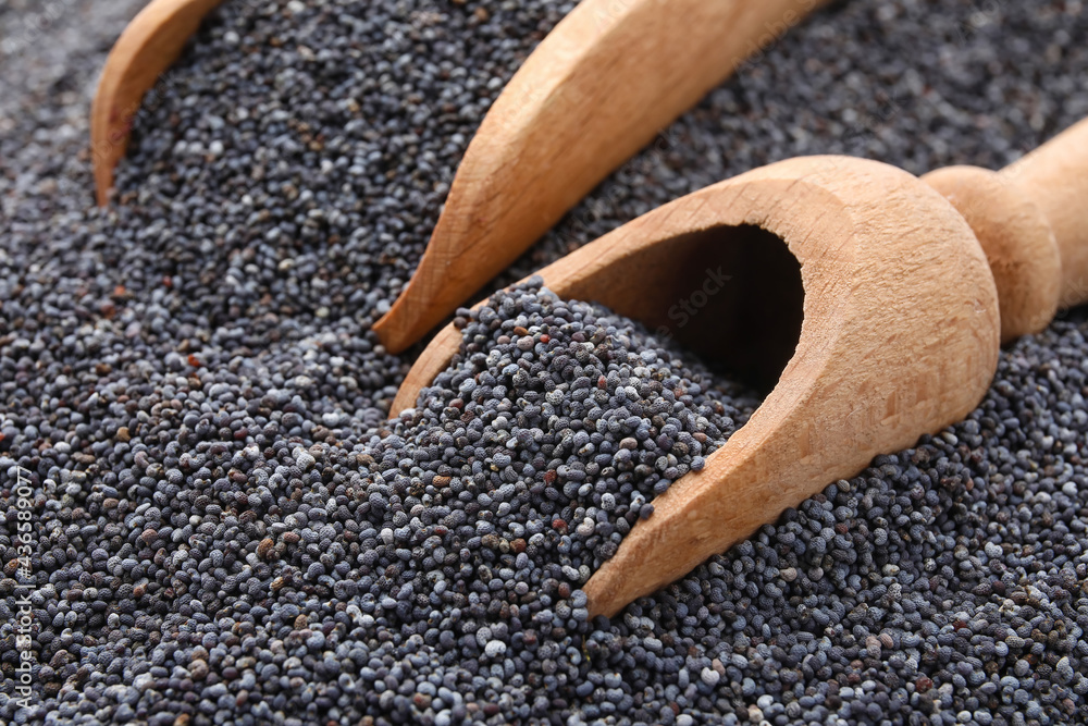 Scoops with poppy seeds, closeup