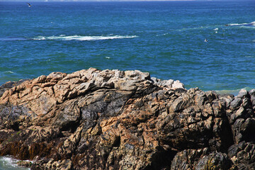 Canvas Print - Rocks on the coast of Vina del Mar, Chile