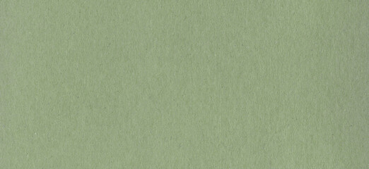 Canvas Print - Clean green cardboard paper background texture. Horizontal banner