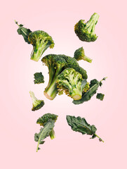 Wall Mural - Cut broccolis cut into pieces flying and falling down in the air against pastel pink background. Creative food concept. Fresh and green vegetable ingredient composition.