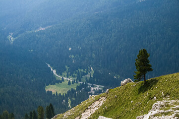 Wall Mural - view from the top