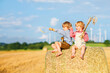 Two little kid boys, twins and siblings sitting on warm summer day on hay stack in wheat field. Happy children playing together. Best friends, family, happiness. Kids in traditional bavarian clothes.