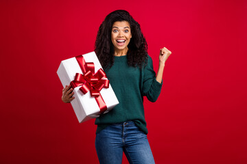 Wall Mural - Photo of charming pretty cute afro american young woman hold hands gift winner isolated on red color background