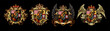 Set of heraldic shields with a crown and wings  on a black background. High detailed realistic illustration