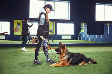 Young handler teaching the dog the Down command