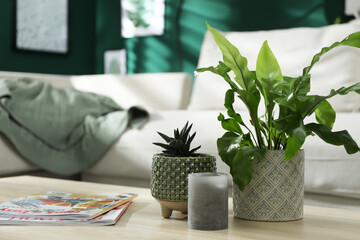 Wall Mural - Beautiful potted plants, candle and magazines on wooden table indoors, space for text