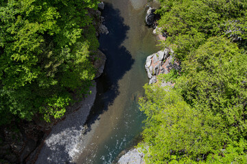 Canvas Print - Valley of early summer green trees and clear river in Japan.