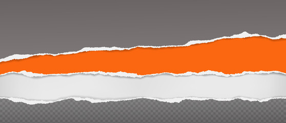 Wall Mural - Torn, ripped grey and orange paper strips with soft shadow are on white background for text. Vector illustration