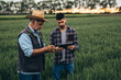 © cherryandbees - workers examining wheat plant in field