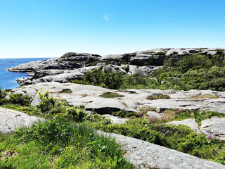 Sticker - Beautiful shot of a stone land full of grass in front of a sea in Verdens Ende, Norway