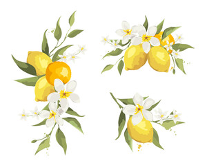 Summer decor with jasmine flowers and citrus branch. Floral design elements for wedding invitation, vector illustration, label.	