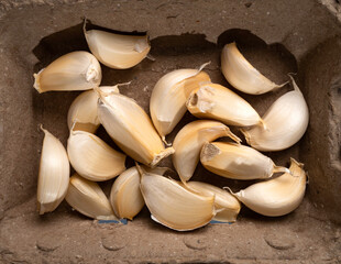 Fresh garlic on the table