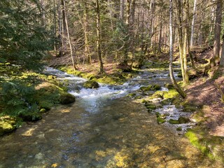 Wall Mural - Torrent tributaries with karst springs in the area of the source of the river Orba and in its canyon, Vallorbe - Canton of Vaud, Switzerland (Kanton Waadt, Schweiz)