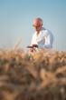 © Kzenon - Researcher doing field test on new kinds of grain and wheat