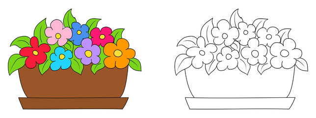 Wall Mural - Flower in flower box. Colored and outline flowers vector illustration isolated on white background. Coloring book page for children.