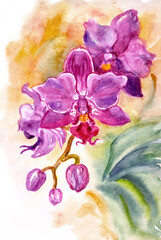 Wall Mural - Small crimson orchid on a golden background, watercolor illustration, picture for a postcard, cover, print for a poster and other designs.