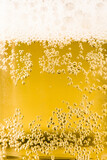 Fototapeta Dmuchawce - Pouring beer with bubble froth in glass for background