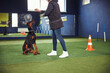 © Svitlana - Professional handler teaching an American Doberman the Stay command