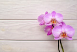Fototapeta Storczyk - A branch of purple orchids on a white wooden background
