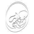 Embryo in her womb inide mother belly, continuous line drawing. Antenatal child development in uterus, vector illustration. Human cub