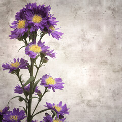 Wall Mural - stylish textured old paper background with small purple autumn aster inflorescence 