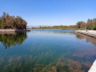 closeup shot of a landscape with a calm lake and trees on shores on a clear sunny day