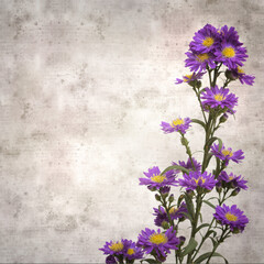 Wall Mural - stylish textured old paper background with small purple autumn aster inflorescence 