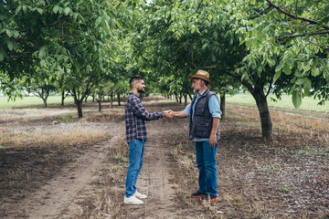 Wall Mural - ranchers handshake in walnut orchard