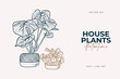 Home plants isolated on a white background. Collection of indoor plants in pots. Home decor. Vector illustration in line style