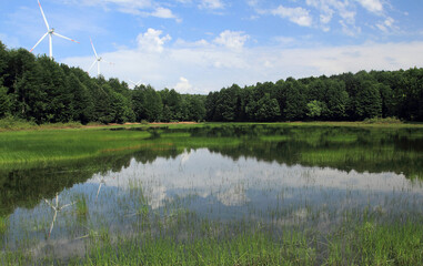 Wall Mural - lake and forest