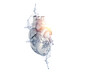 © Sergey Nivens - Innovative medicine concept. Heart symbol