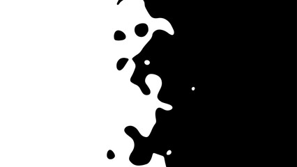 Wall Mural - the transition from black to white with uneven border line, interpenetration of colors. vector illus