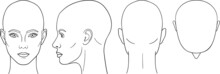 Female Head Vector Illustration In Front, Back, Top, Side View