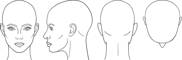 female head vector illustration in front, back, top, side view